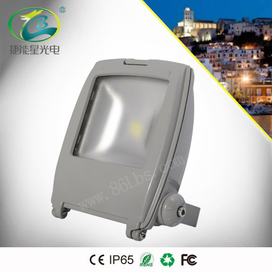 10W LED泛光燈背包燈多用于建筑物 雕塑 綠化照明