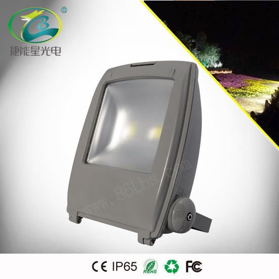 雙光源100W LED泛光燈適用于綠化照明