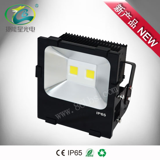 100W 雙光源led泛光燈