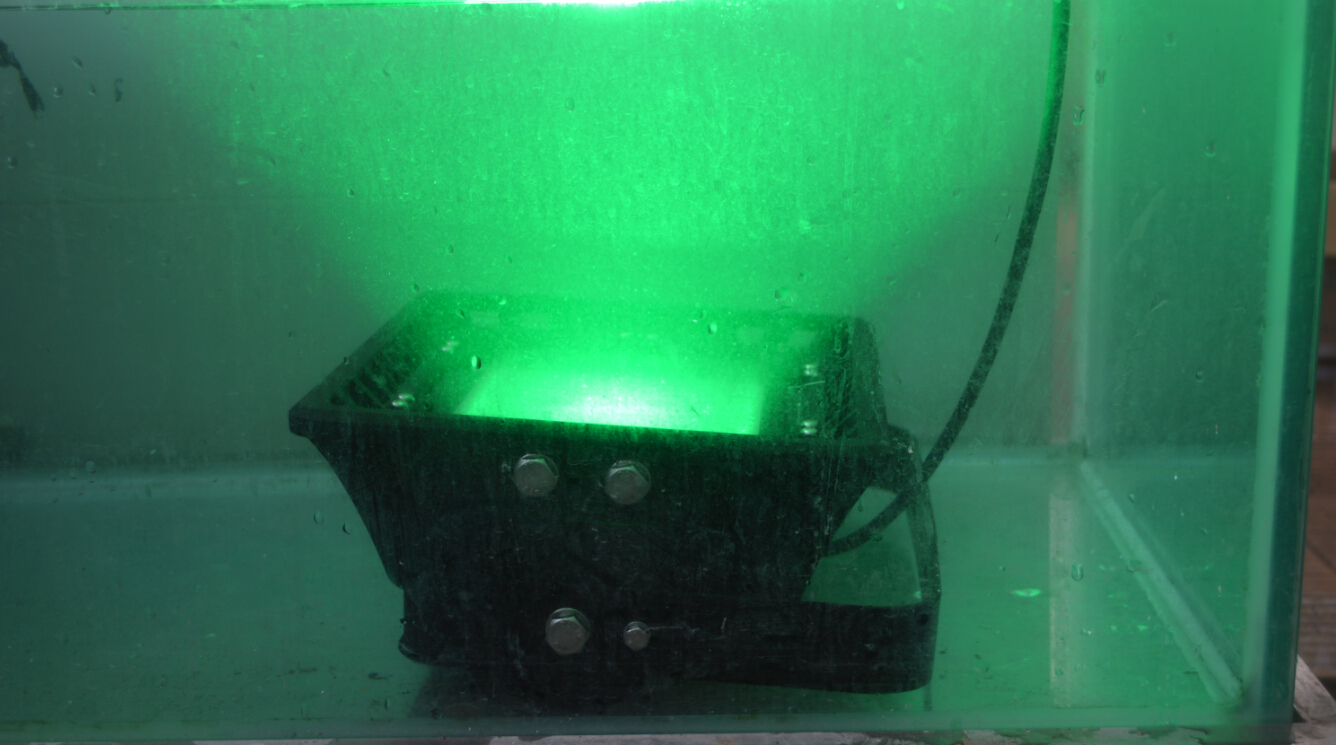 LED Fishing Light